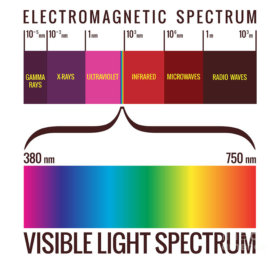 color-theory